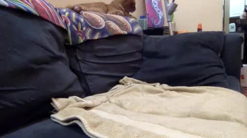 cumonover420 online show from April 24, 2026, 1:41 am