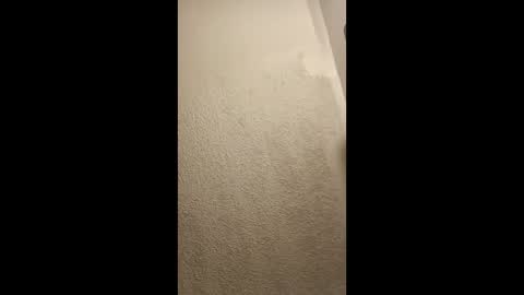 cumplay79 online show from January 19, 2026, 5:11 am