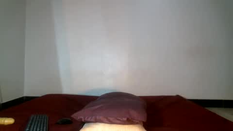 Shiiro online show from June 2, 2026, 6:59 am
