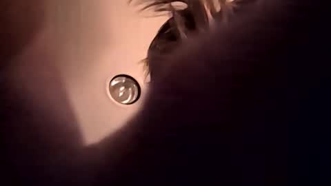 cumupxxx online show from November 17, 2025, 11:49 am