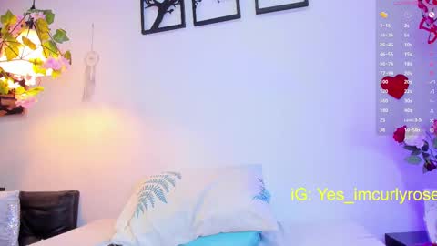 Rose online show from February 15, 2025, 8:54 pm