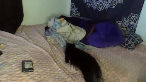 Cline  online show from February 8, 2025, 4:47 am