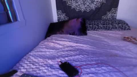 Cline  online show from March 2, 2025, 7:21 am