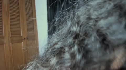 curvypornxxx online show from January 24, 2025, 10:43 am