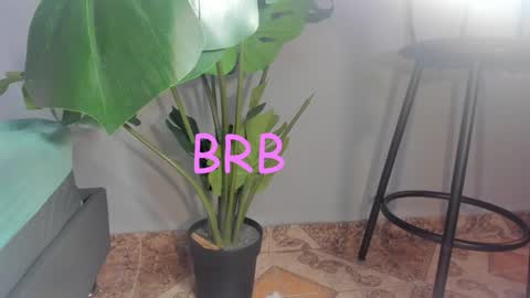 Stacy online show from December 13, 2024, 8:30 am