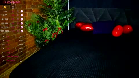 Tory online show from February 11, 2026, 8:25 pm