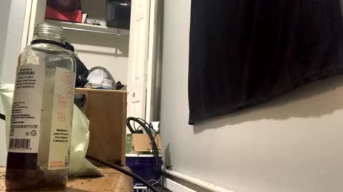 cutealisandra online show from February 3, 2026, 3:04 am