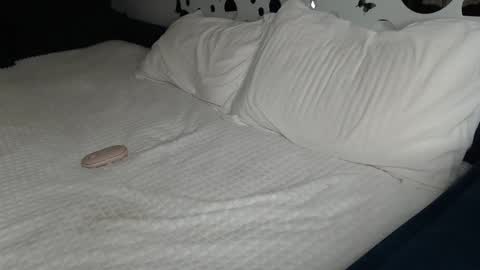 Anna online show from January 27, 2025, 1:52 pm