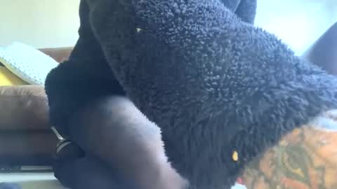 cutestsin online show from September 28, 2025, 9:03 am