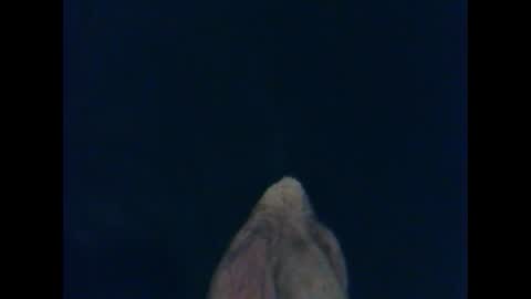 CutieBoy online show from October 26, 2025, 1:33 am