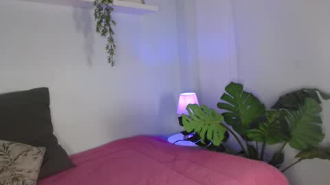 Laura online show from February 10, 2026, 11:36 am