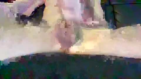 cwaddle online show from February 16, 2025, 3:48 pm