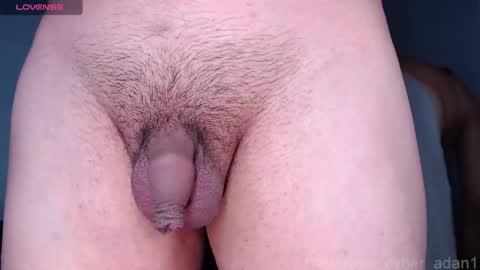 Snapshot of cyber_adan1 chatting on January 16, 2025, 1:58 pm cyber online show from January 16, 2025, 1:58 pm