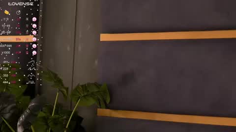 Ivy online show from February 10, 2025, 4:08 am