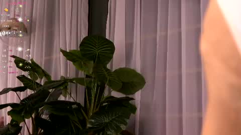 Snapshot of cynthiawest chatting on July 3, 2026, 3:35 am Ivy online show from July 3, 2026, 3:35 am