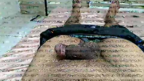 d130213 online show from October 3, 2025, 1:46 am