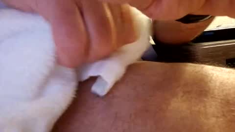 daaavy11 online show from February 19, 2026, 2:18 am