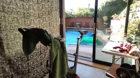 Snapshot of daddycache chatting on November 9, 2025, 3:43 pm bas online show from November 9, 2025, 3:43 pm