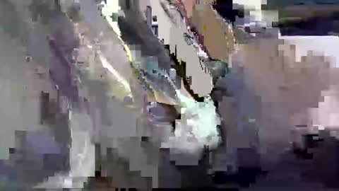 GIANT  Lamar  72 ft  tall  with a  10 inches  BBC   hard quick cumshot in private show lets go online show from March 26, 2026, 12:00 pm