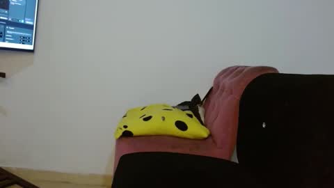 Daiisha.. online show from April 18, 2026, 8:07 am