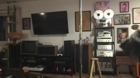 daisymynx online show from April 6, 2026, 3:15 am