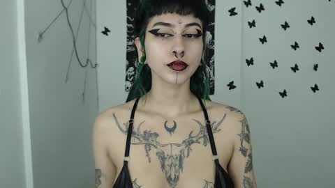 dakota online show from January 8, 2025, 9:10 am