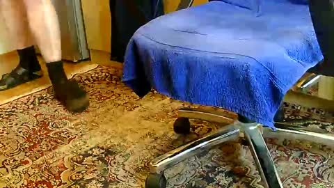 Dammerl online show from December 11, 2024, 1:06 pm