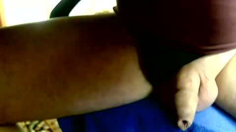 Dammerl online show from January 11, 2026, 2:00 pm