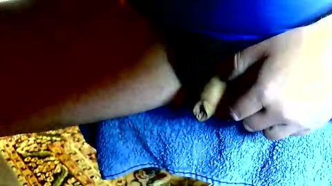 Dammerl online show from April 24, 2026, 11:34 am