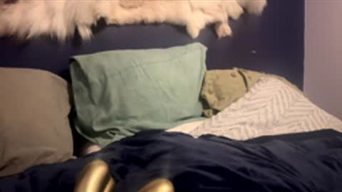 damontsi online show from February 24, 2026, 2:48 pm