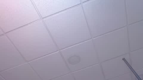 dana online show from December 19, 2024, 2:23 am