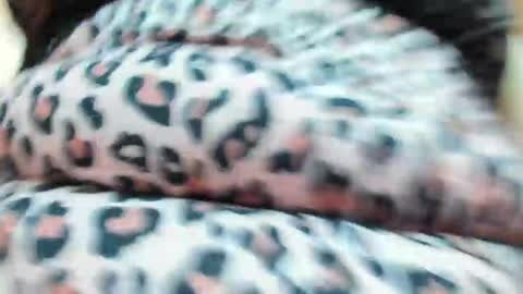 danajhonson online show from April 16, 2026, 2:07 pm