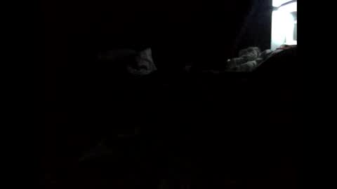 daniellbisous online show from March 10, 2026, 9:03 am