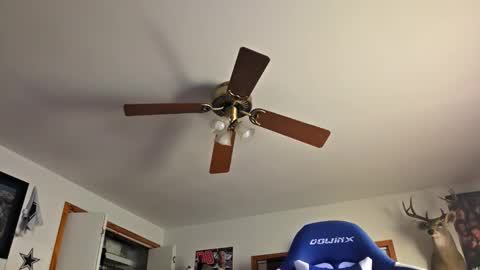 Daniel    y. online show from October 22, 2025, 11:15 pm