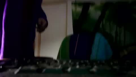 danimal5000 online show from January 26, 2025, 3:58 pm