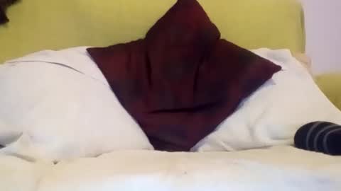 daniroca8 online show from February 17, 2026, 6:36 pm