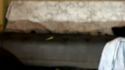 dandeb online show from October 12, 2025, 1:04 am