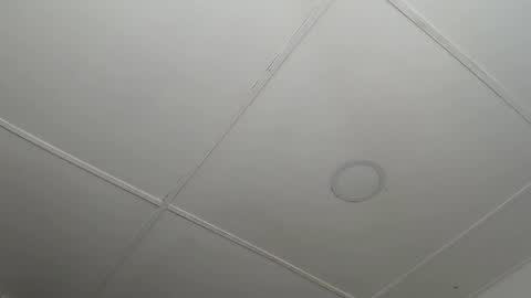 Snapshot of dannaberlin_0 chatting on February 12, 2025, 12:22 pm dannaberlin_0 online show from February 12, 2025, 12:22 pm