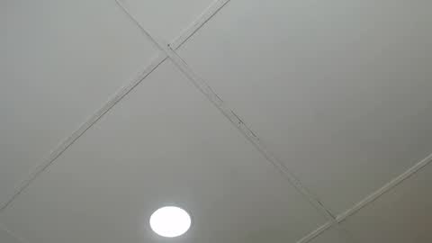 Snapshot of dannaberlin_0 chatting on March 8, 2025, 12:09 pm dannaberlin_0 online show from March 8, 2025, 12:09 pm