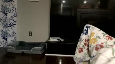 dannyboy621 online show from October 17, 2025, 11:24 am