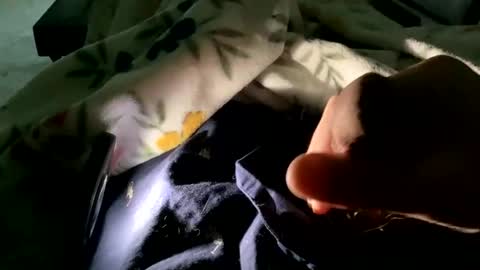 dannyboy621 online show from November 9, 2025, 1:53 pm