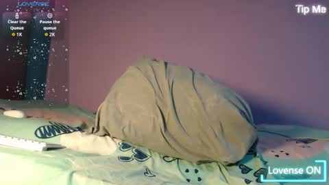 Snapshot of dante_bear chatting on November 27, 2025, 2:24 am dante_bear online show from November 27, 2025, 2:24 am