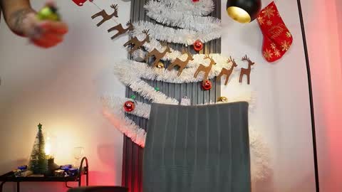 SEBAS online show from November 26, 2025, 2:12 am