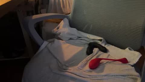 Dante online show from November 18, 2025, 7:13 am