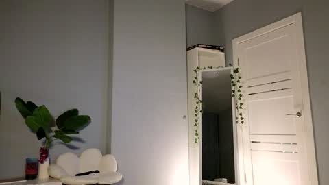 darilboom online show from December 3, 2024, 11:55 am