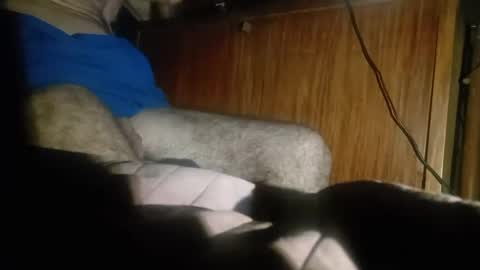 dario48 online show from December 20, 2024, 3:47 am