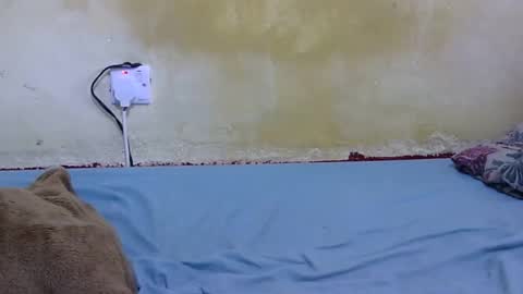 dark_princess1 online show from February 13, 2026, 9:05 am