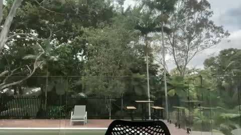 dartanian0001 online show from October 1, 2025, 12:38 am