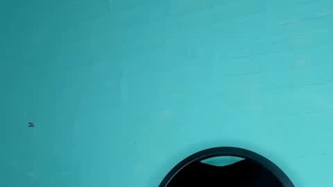 Dafne online show from March 6, 2025, 8:48 pm