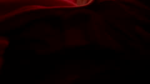 dasquirtmaster online show from March 27, 2026, 10:48 am